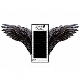 „Black Feather“ JoLash Profil D Wimpern