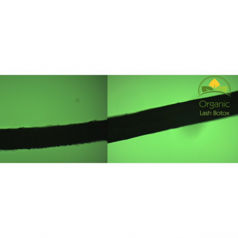  Preparaty Organic Lash Boost B0T0X- do zabiegu laminacji i liftingu JoLash 161.1 - 1